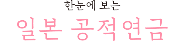 한눈에 보는 일본 공적연금