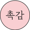 촉감