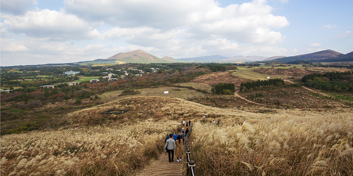 함께 떠나는 시니어 여행