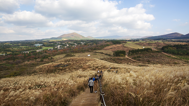 함께 떠나는 시니어 여행