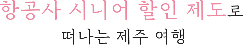 군산 시티투어 버스