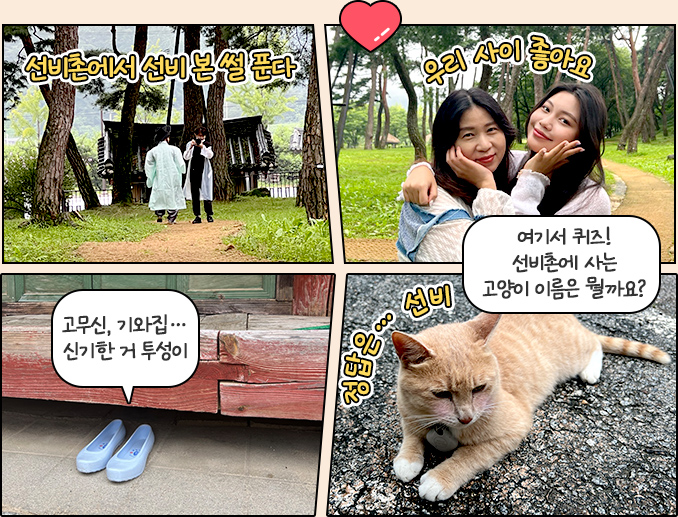 선비촌에서 선비 본 썰 푼다,우리 사이 좋아요,고무신, 기와집…신기한 거 투성이,여기서 퀴즈! 선비촌에 사는 고양이 이름은 뭘까요? 정답은… 선비