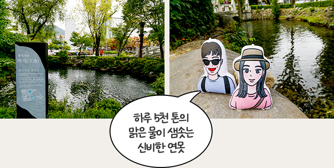 하루 5천 톤의 맑은 물이 샘솟는 신비한 연못