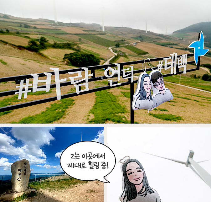 바람의 언덕