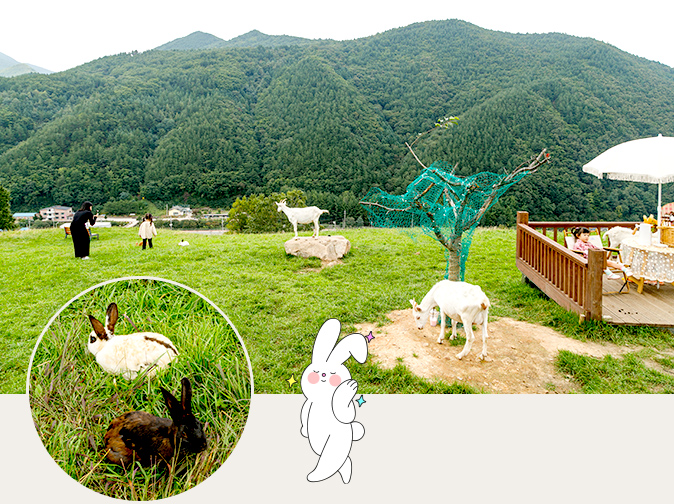 몽토랑 목장