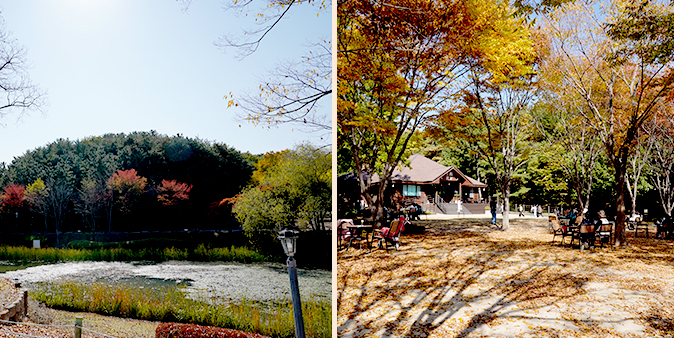 울산대공원