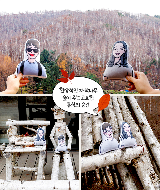 원대리 자작나무 숲-환상적인 자작나무 숲이 주는 고요한 휴식의 순간