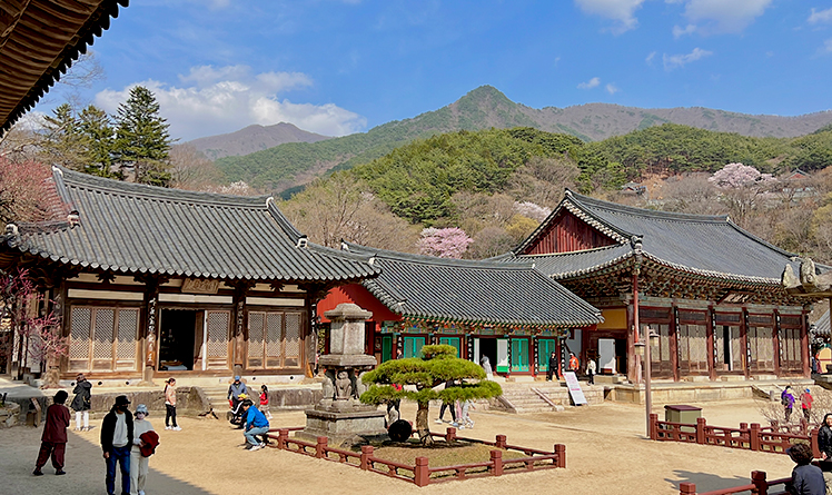 구례화엄사