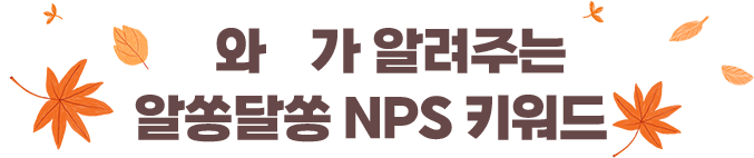 X과 Z가 알려주는 알쏭달쏭 NPS 키워드