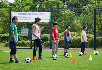 드림